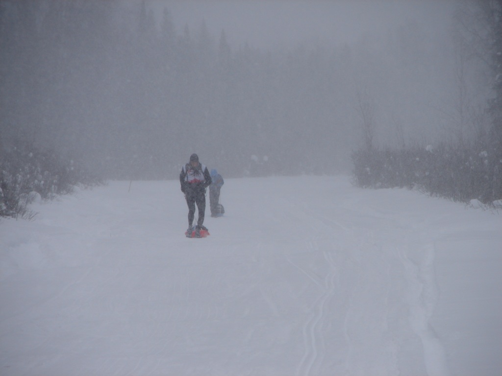 A person is walking in the snow on skis.