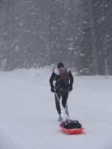 A man is skiing in the snow with trees behind him.