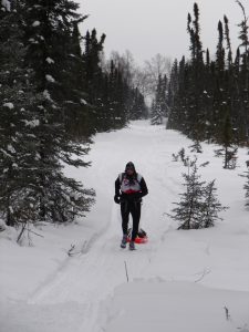 A person is skiing through the snow