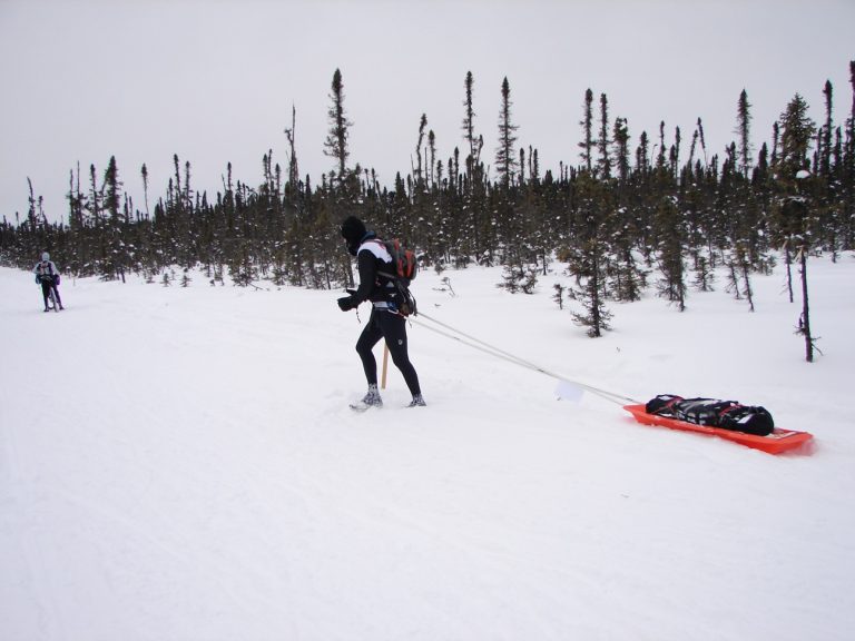 A person on skis in the snow near trees.