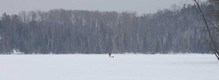 A person is standing in the snow with skis.